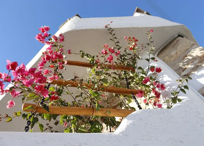 Vila Kontoudi's House